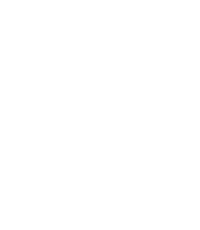 Narayana 